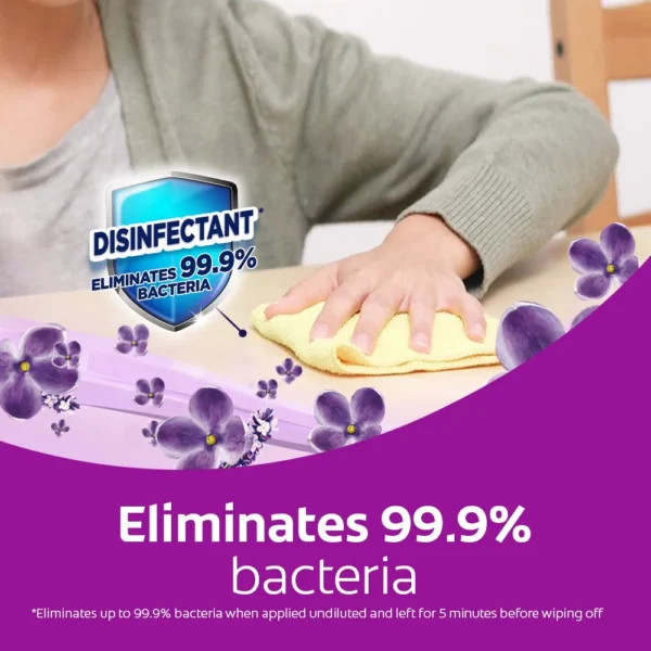 9aaf98d312fbe965a1650a848de20864.webp Ajax Fabuloso Lavender Floor Cleaner 2L