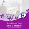 cfdd025bca916ae21dd1021830325b7f.webp Ajax Fabuloso Lavender Floor Cleaner 2L