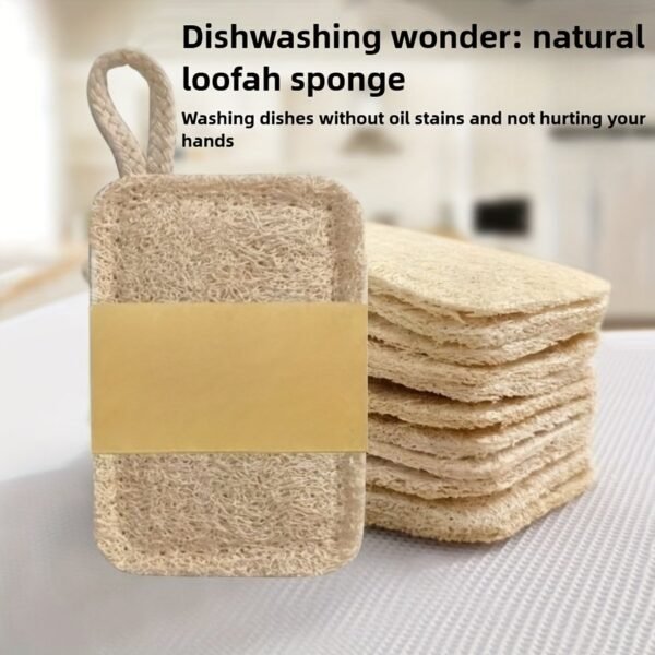 Natural Dish Cleaning Brushes – 5pcs Eco-Friendly Set