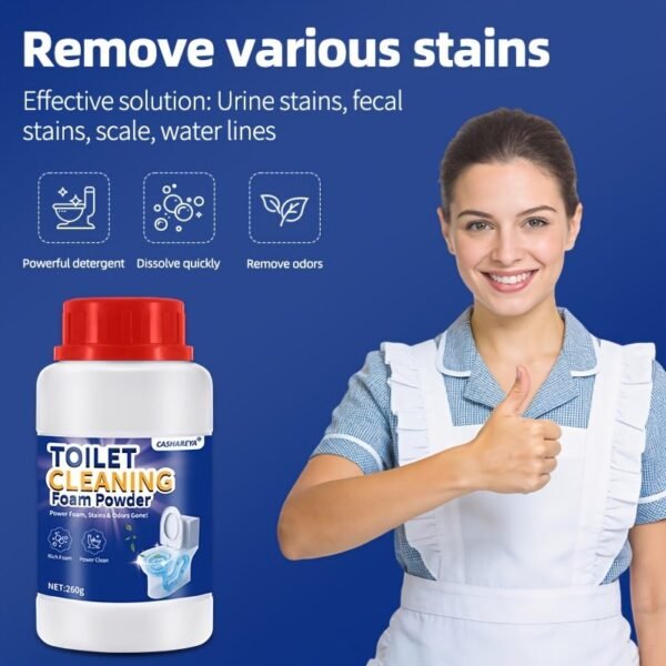 e2d774a0-dbfe-43dc-8470-558649f71c9d.jpg DeepClean Toilet Cleaning Powder 260g